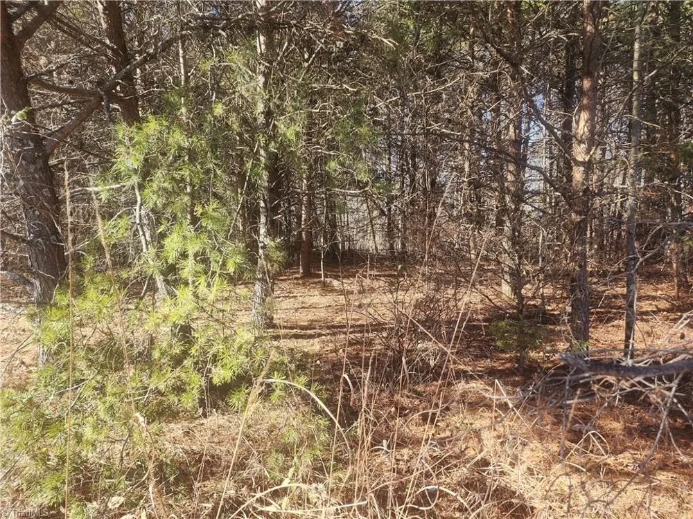 00 Golf Course Road Pilot Mountain, NC 27041