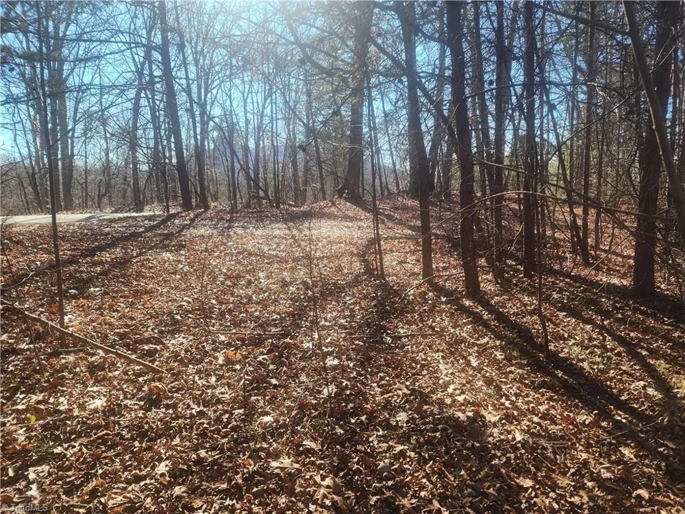 00 Golf Course Road Pilot Mountain, NC 27041