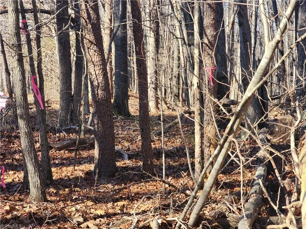 00 Golf Course Road Pilot Mountain, NC 27041