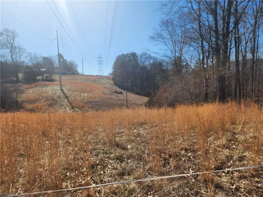 00 Golf Course Road Pilot Mountain, NC 27041