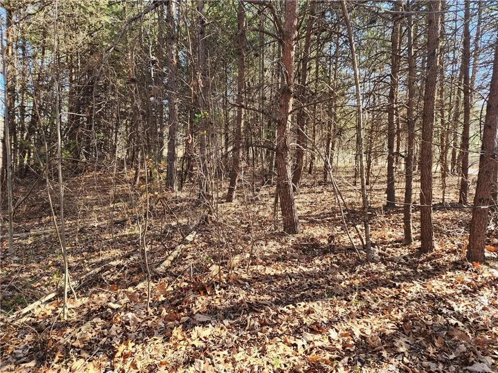00 Golf Course Road Pilot Mountain, NC 27041