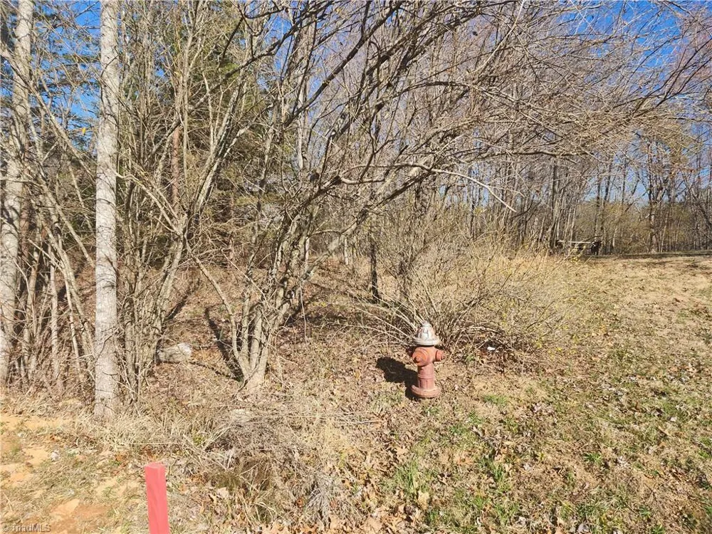 00 Golf Course Road Pilot Mountain, NC 27041