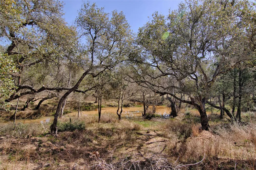 265 Wigeon Lane Columbus, TX 78934