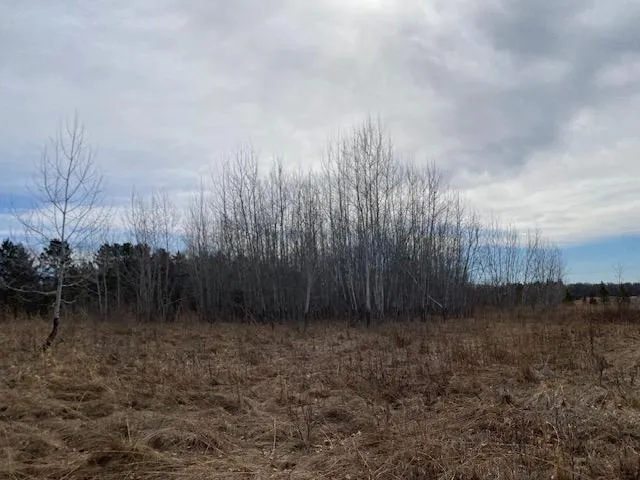xxx2 CSAH 39 Monticello, MN 55362