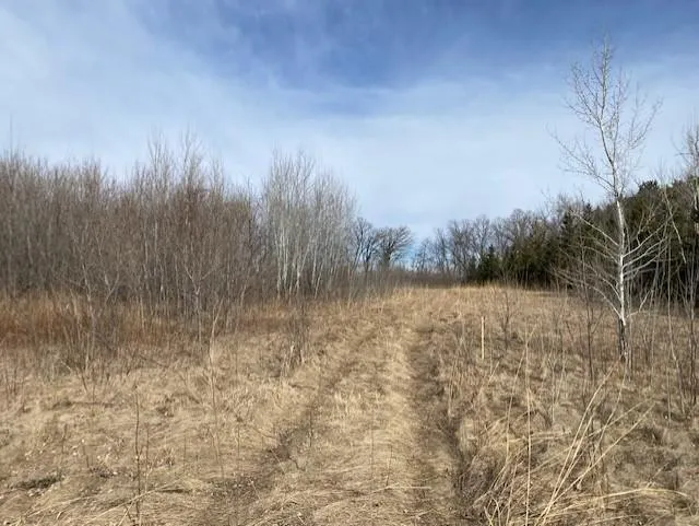 xxx2 CSAH 39 Monticello, MN 55362