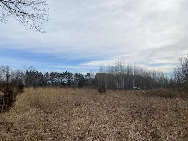 xxx1 CSAH 39 Monticello, MN 55362