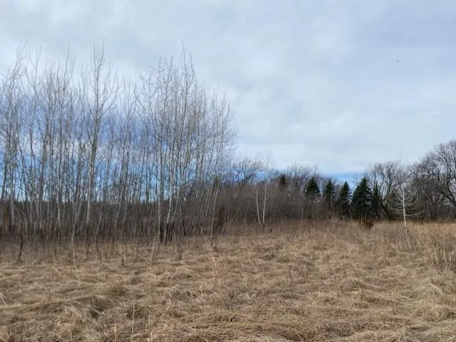 xxx1 CSAH 39 Monticello, MN 55362