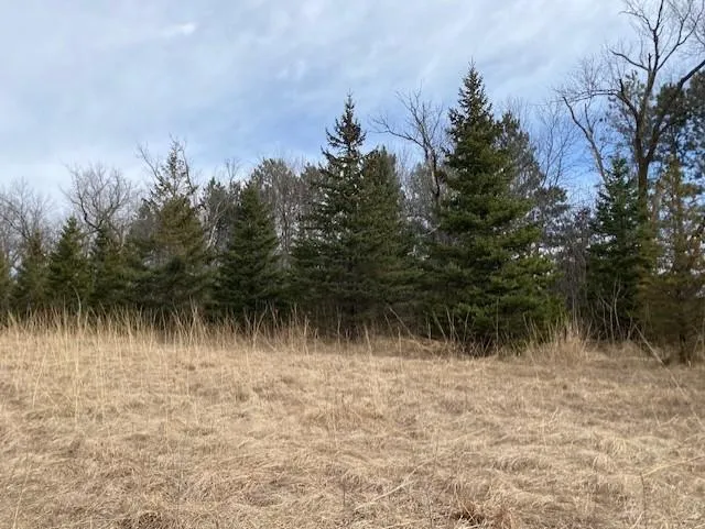 xxx1 CSAH 39 Monticello, MN 55362