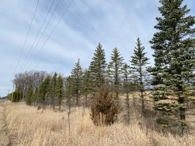 xxx1 CSAH 39 Monticello, MN 55362