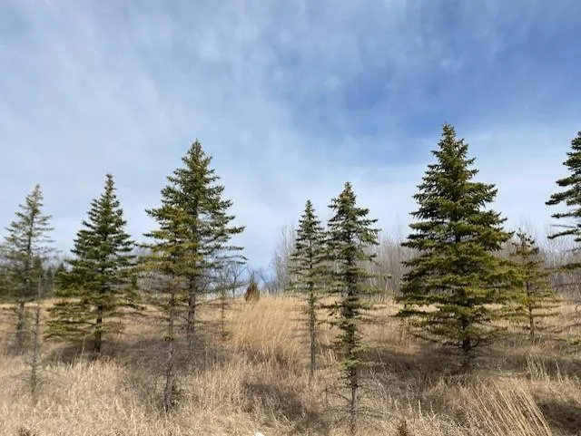 xxx1 CSAH 39 Monticello, MN 55362