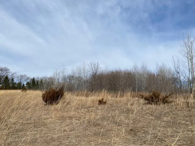 xxx1 CSAH 39 Monticello, MN 55362