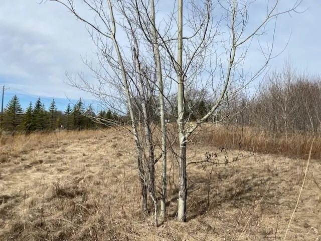 xxx1 CSAH 39 Monticello, MN 55362