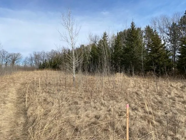xxx1 CSAH 39 Monticello, MN 55362