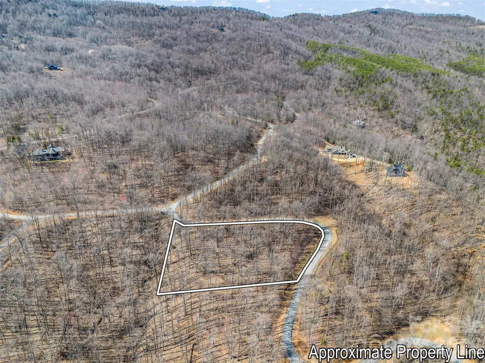 183 Chesterfield Drive #183 Mill Spring, NC 28756