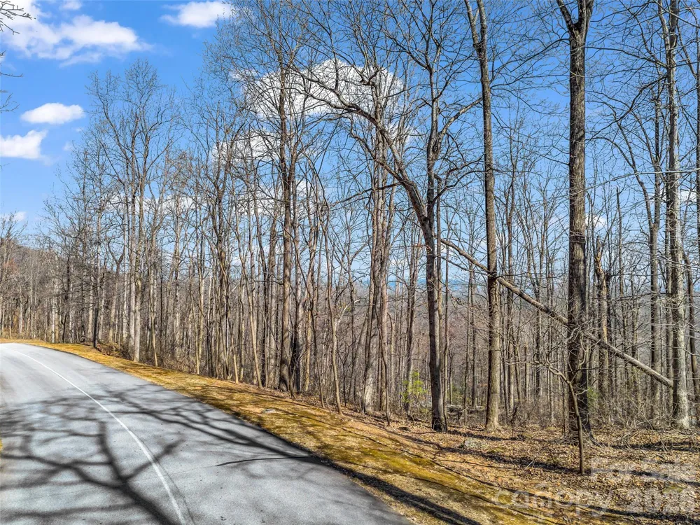 183 Chesterfield Drive #183 Mill Spring, NC 28756