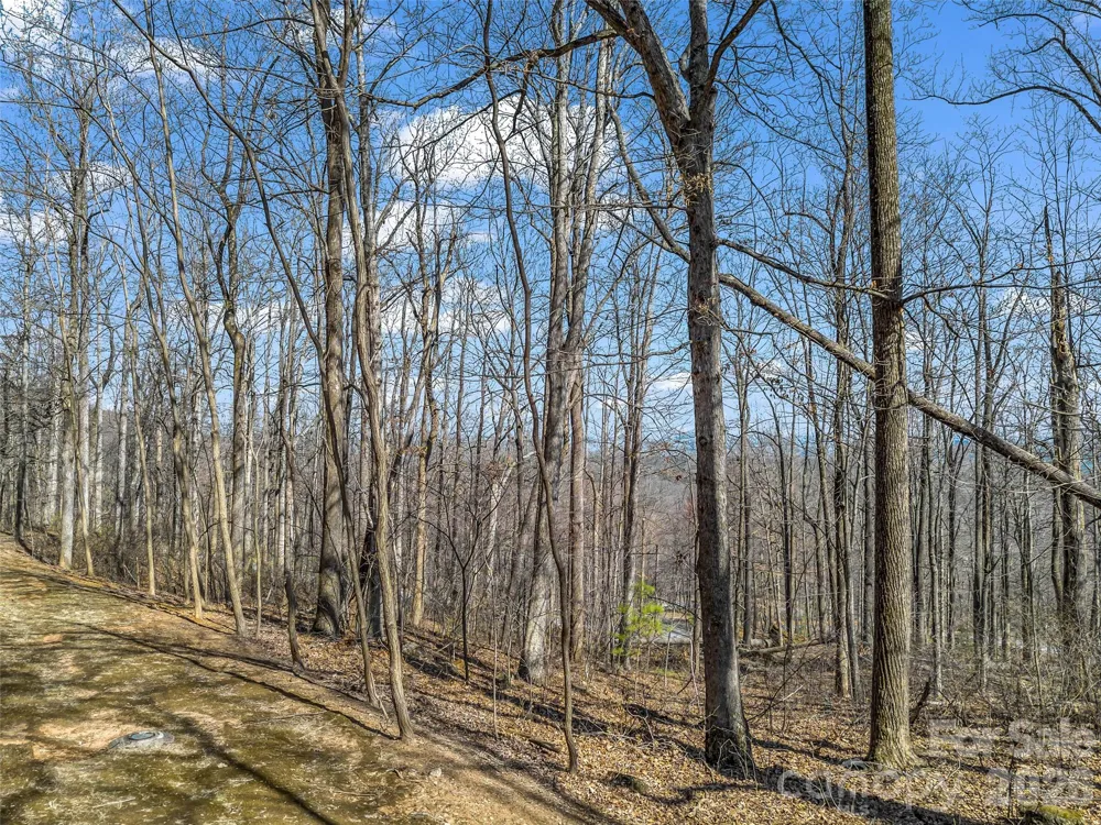 183 Chesterfield Drive #183 Mill Spring, NC 28756