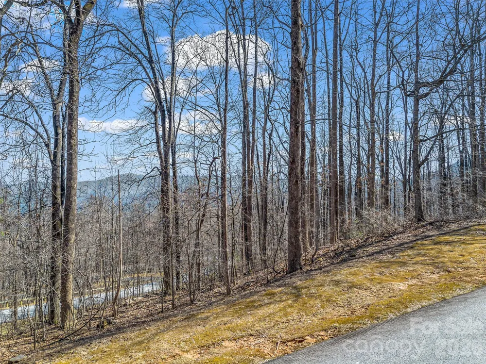 183 Chesterfield Drive #183 Mill Spring, NC 28756