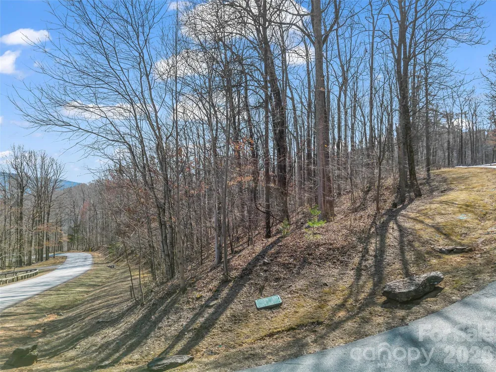 183 Chesterfield Drive #183 Mill Spring, NC 28756