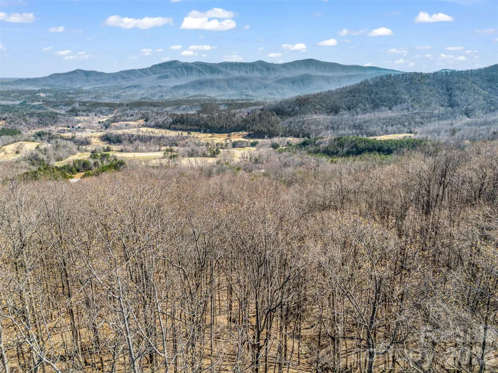 183 Chesterfield Drive #183 Mill Spring, NC 28756