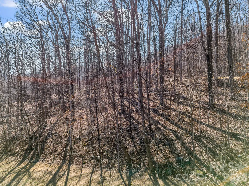 190 Cherry Hill Mill Spring, NC 28756
