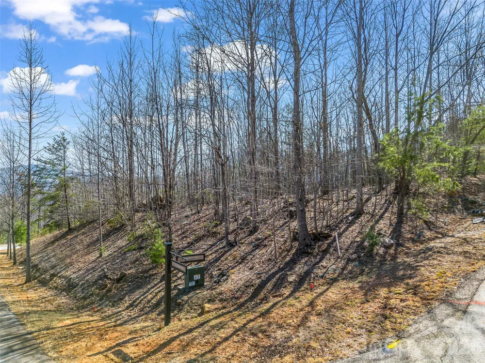 190 Cherry Hill Mill Spring, NC 28756