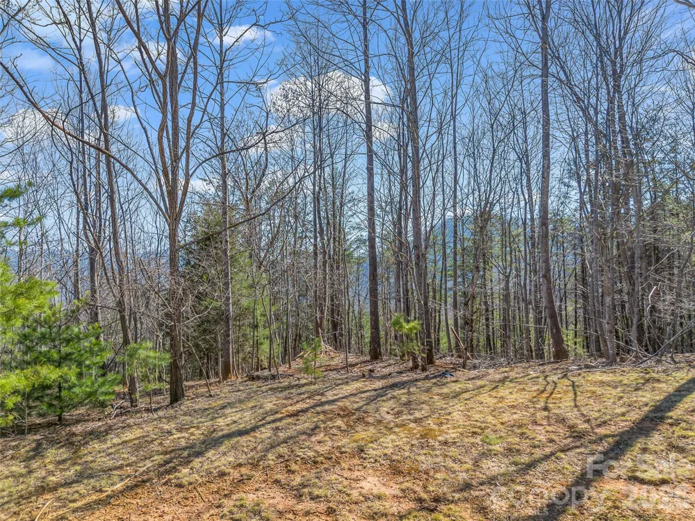 190 Cherry Hill Mill Spring, NC 28756