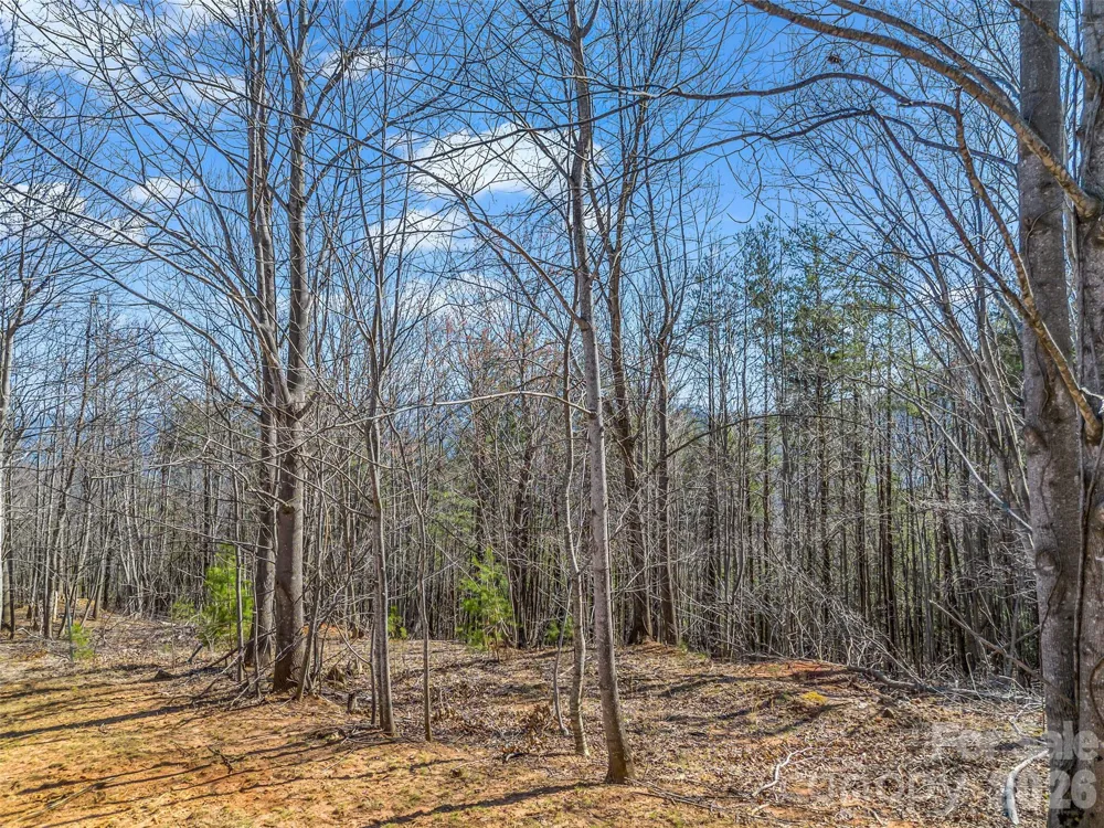 190 Cherry Hill Mill Spring, NC 28756