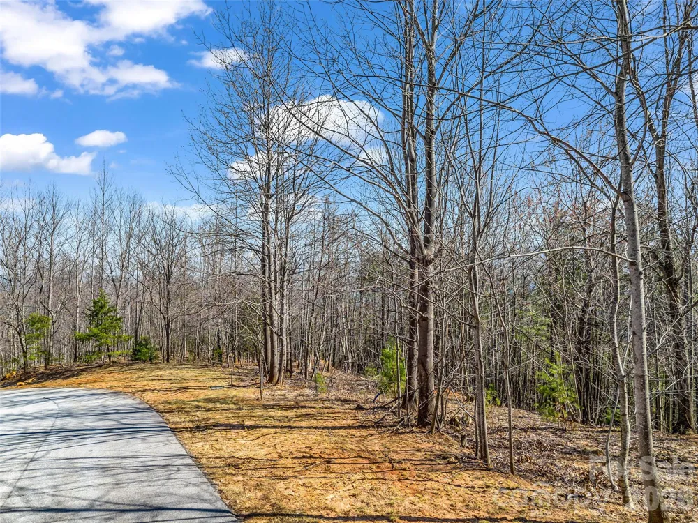 190 Cherry Hill Mill Spring, NC 28756
