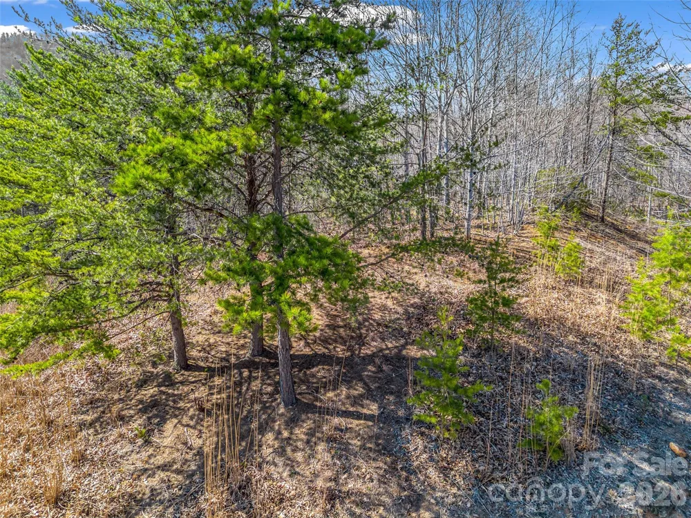 190 Cherry Hill Mill Spring, NC 28756