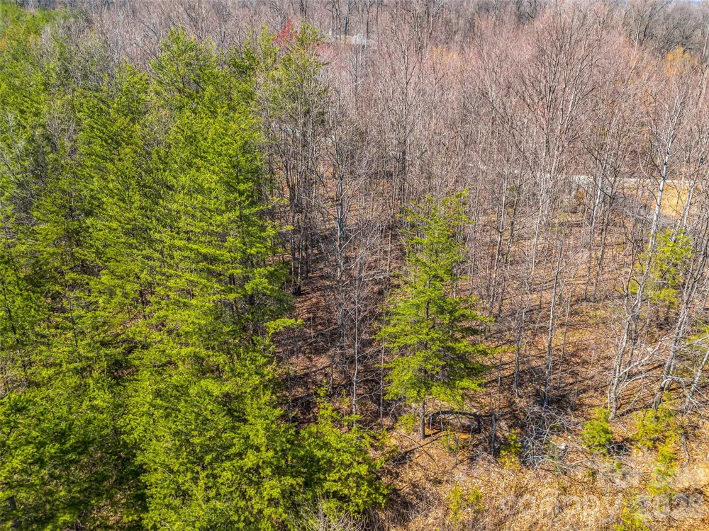190 Cherry Hill Mill Spring, NC 28756