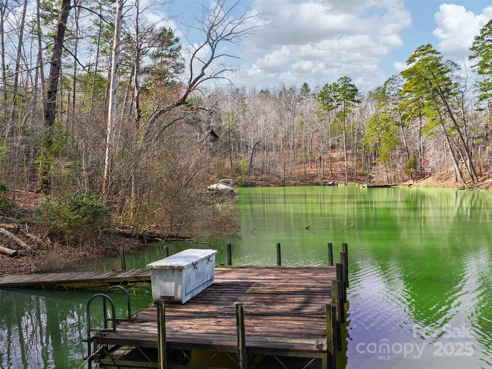 Lot 27 South Cove Road Mill Spring, NC 28756