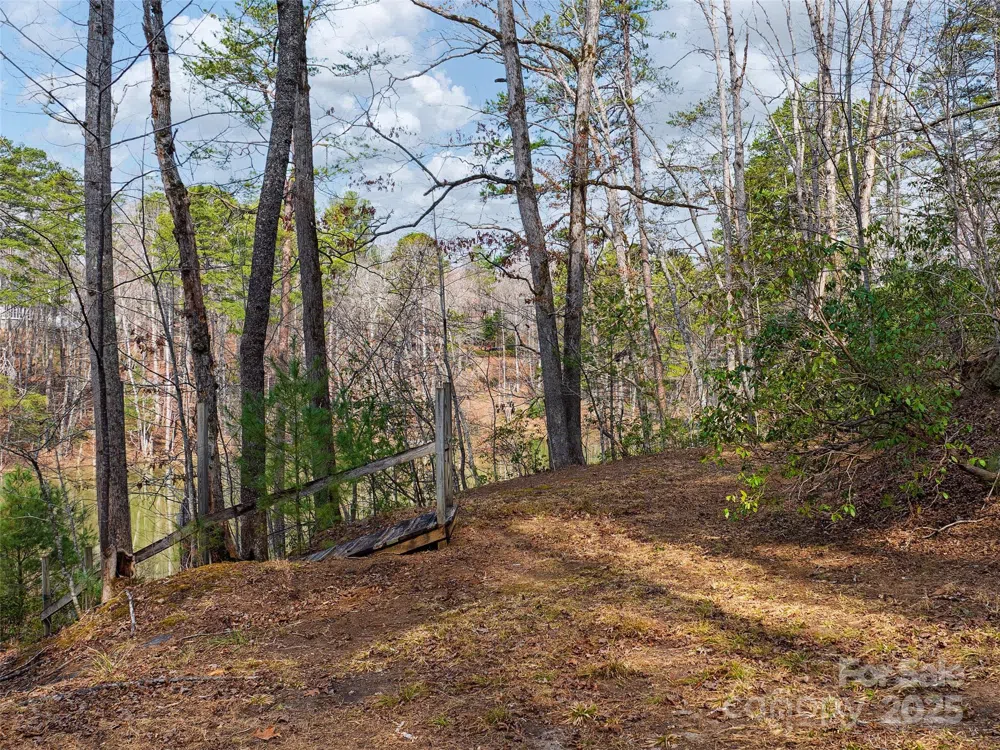 Lot 27 South Cove Road Mill Spring, NC 28756