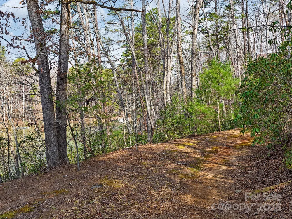 Lot 27 South Cove Road Mill Spring, NC 28756