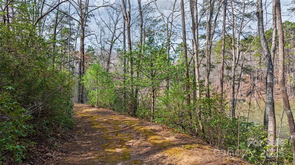 Lot 27 South Cove Road Mill Spring, NC 28756