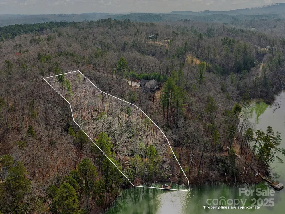 Lot 27 South Cove Road Mill Spring, NC 28756