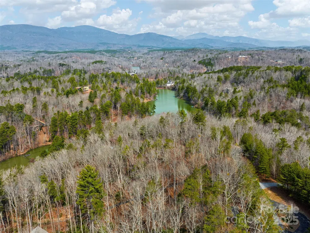 Lot 27 South Cove Road Mill Spring, NC 28756