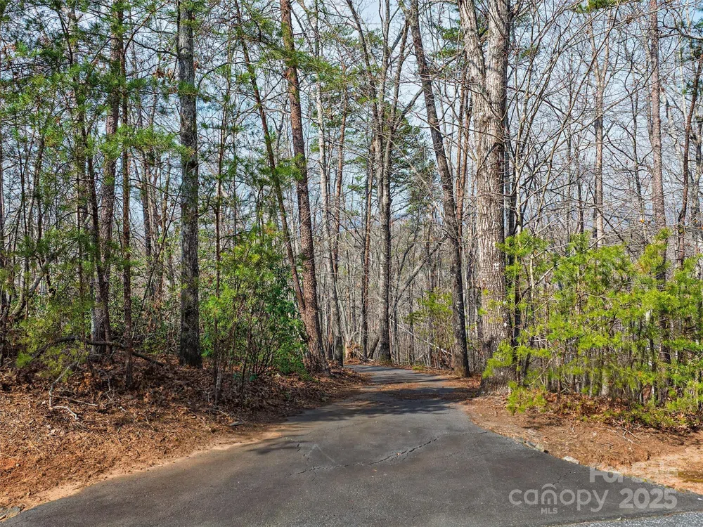Lot 27 South Cove Road Mill Spring, NC 28756