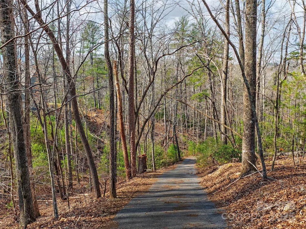 Lot 27 South Cove Road Mill Spring, NC 28756