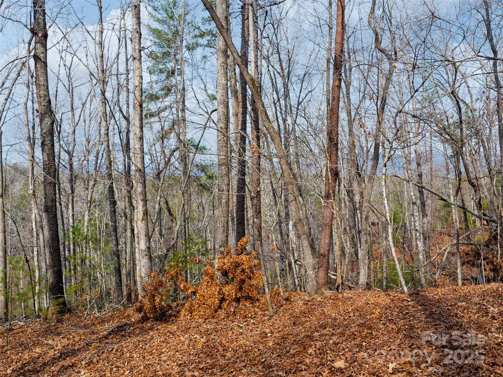Lot 27 South Cove Road Mill Spring, NC 28756