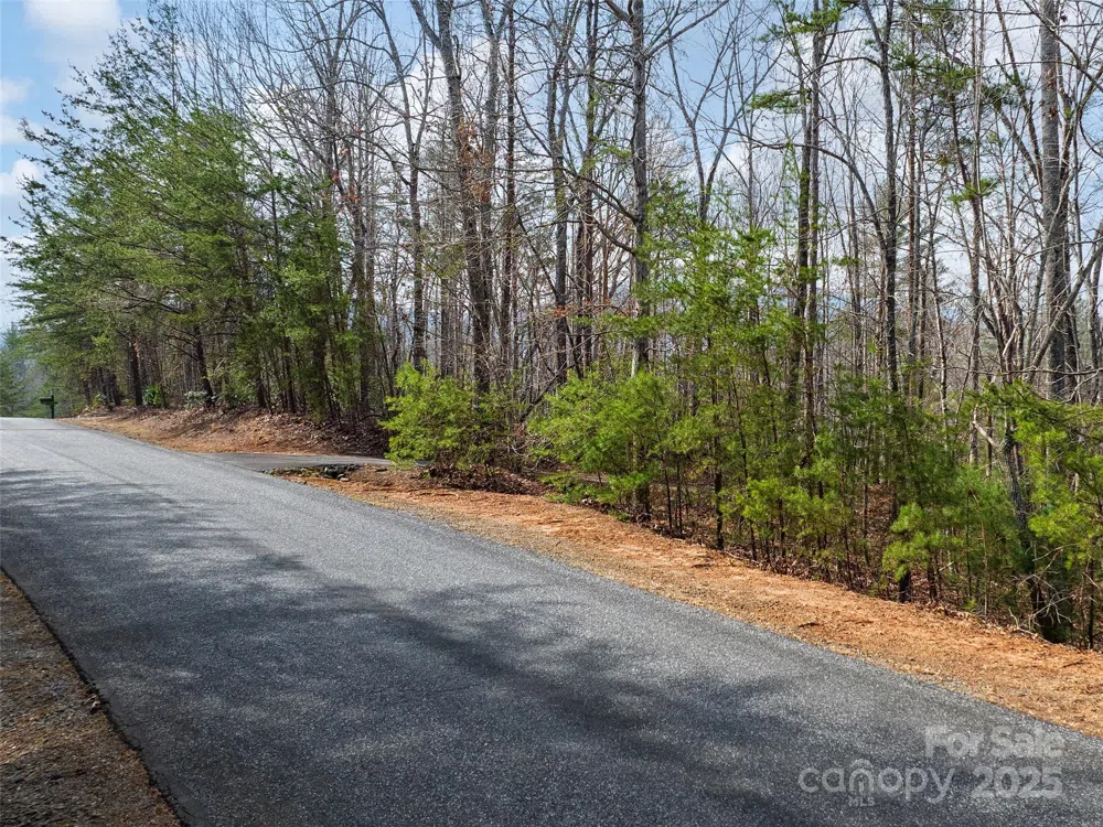 Lot 27 South Cove Road Mill Spring, NC 28756