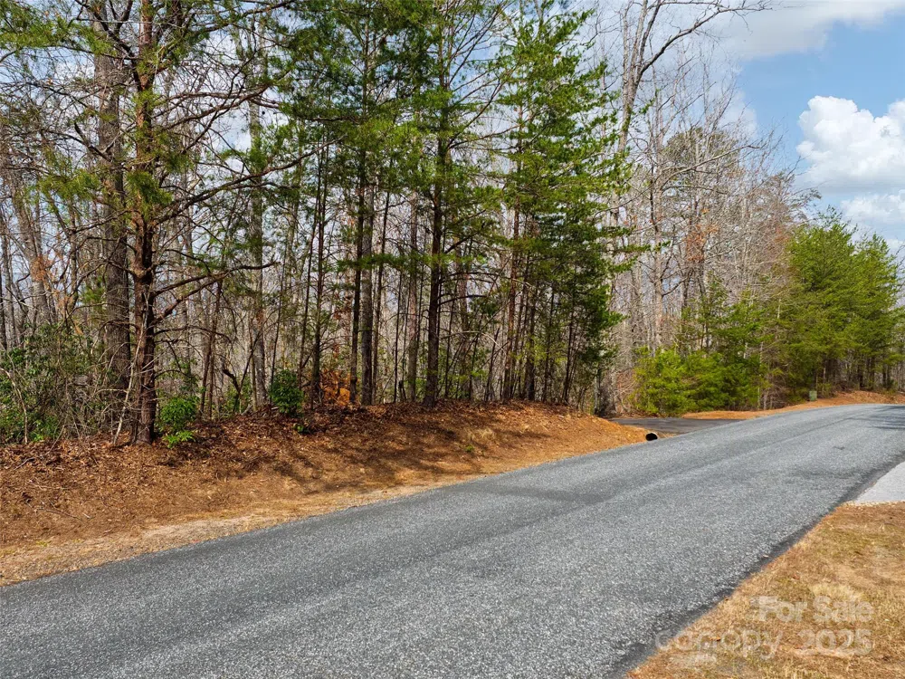 Lot 27 South Cove Road Mill Spring, NC 28756