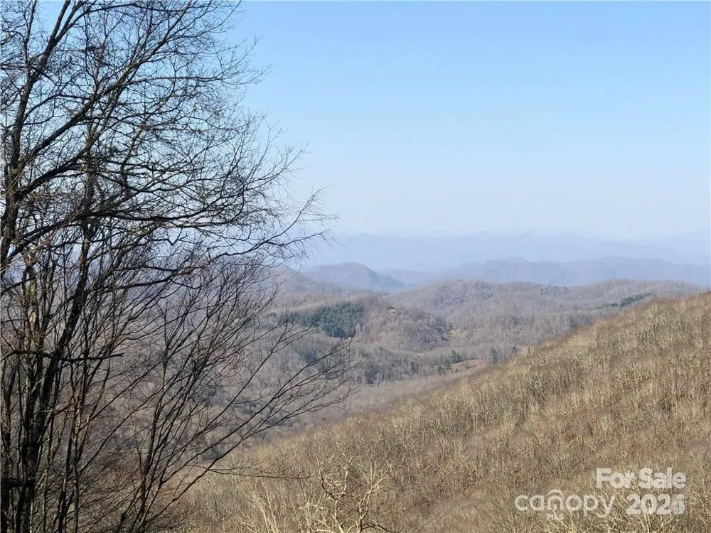 285 Granny Lewis Lane Mars Hill, NC 28754