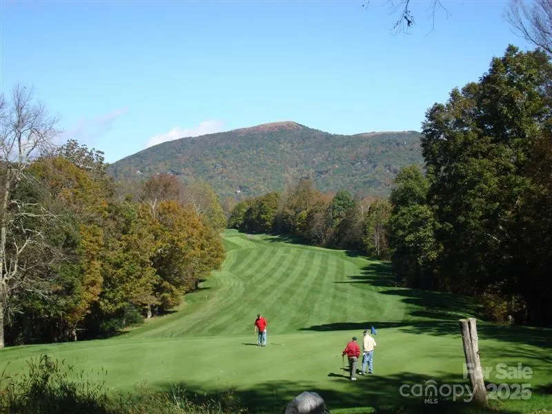 285 Granny Lewis Lane Mars Hill, NC 28754