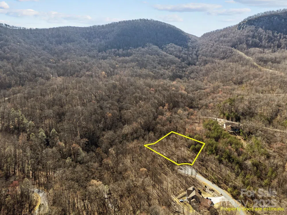 000 Stafford Lane S #2065 Mill Spring, NC 28756