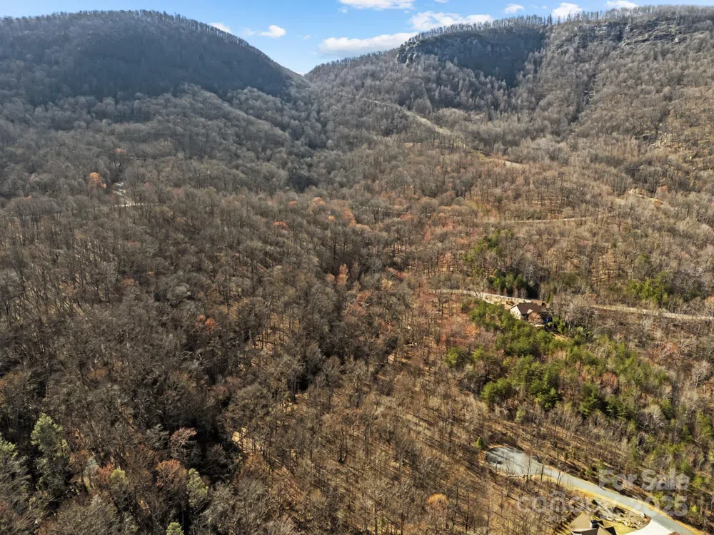 000 Stafford Lane S #2065 Mill Spring, NC 28756