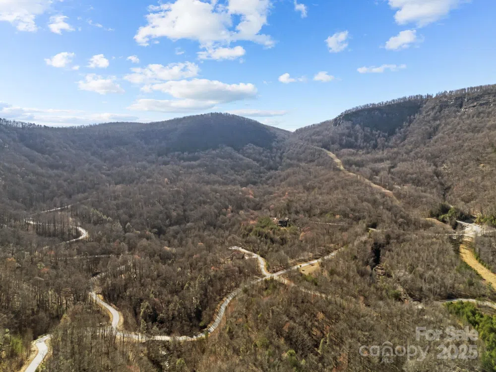 000 Stafford Lane S #2065 Mill Spring, NC 28756