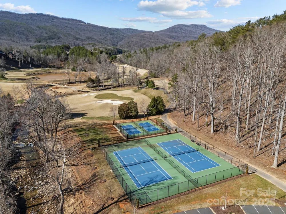 000 Stafford Lane S #2065 Mill Spring, NC 28756