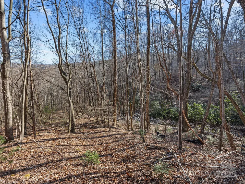 000 Stafford Lane S #2065 Mill Spring, NC 28756
