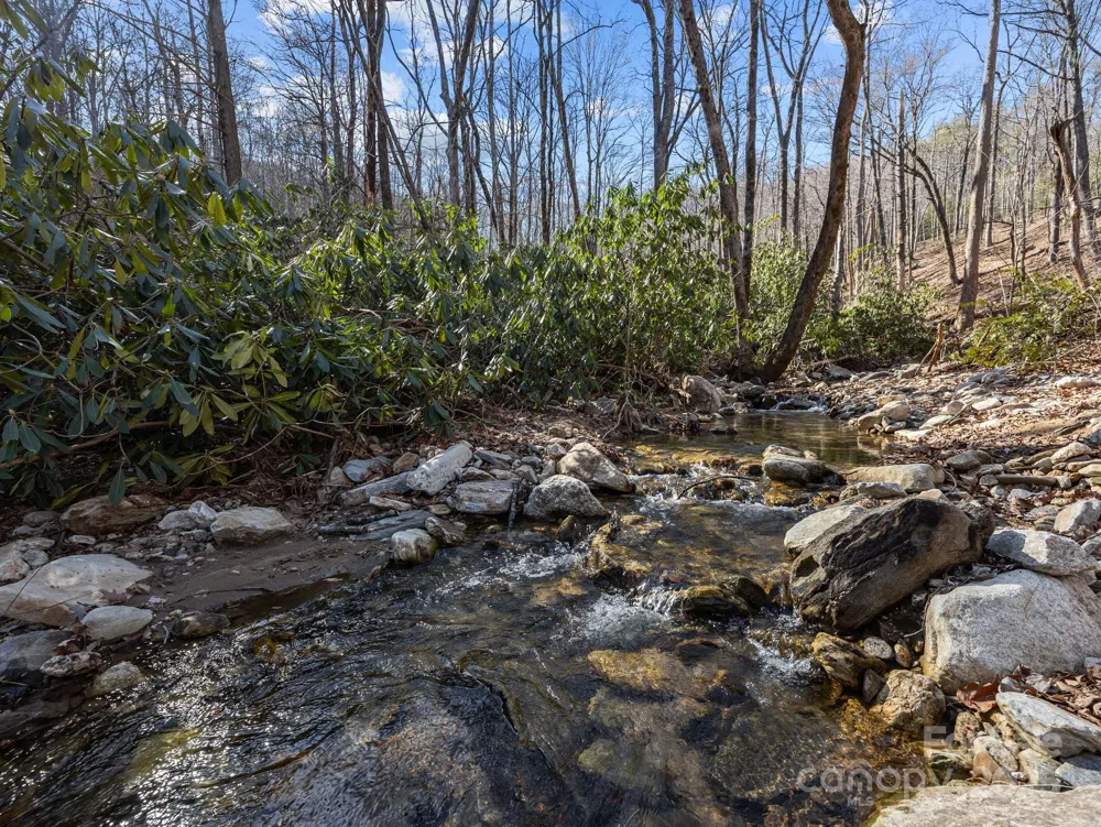 000 Stafford Lane S #2065 Mill Spring, NC 28756