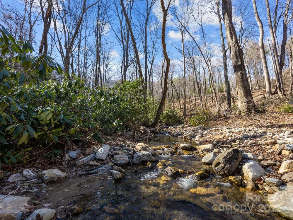 000 Stafford Lane S #2065 Mill Spring, NC 28756